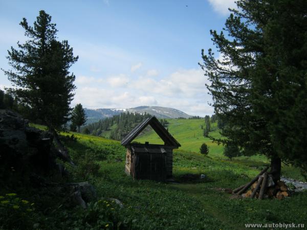 saygonosh-16-20-11_0000136.jpg