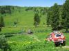 saygonosh-16-20-11_0000141_t1.jpg