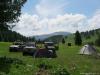 saygonosh-16-20-11_0000146_t1.jpg