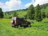 saygonosh-16-20-11_0000151_t1.jpg