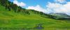 saygonosh-16-20-11_0000152_t1.jpg