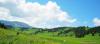 saygonosh-16-20-11_0000153_t1.jpg