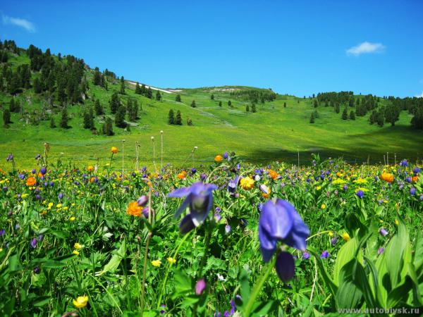 saygonosh-16-20-11_0000155.jpg
