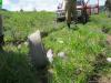 saygonosh-16-20-11_0000160_t1.jpg