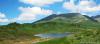 saygonosh-16-20-11_0000163_t1.jpg