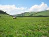 saygonosh-16-20-11_0000166_t1.jpg