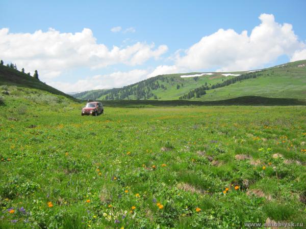 saygonosh-16-20-11_0000166.jpg