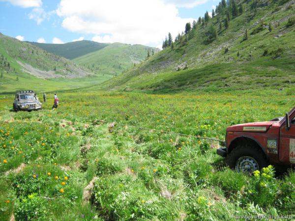 saygonosh-16-20-11_0000168.jpg