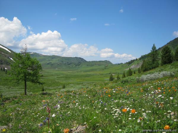 saygonosh-16-20-11_0000176.jpg