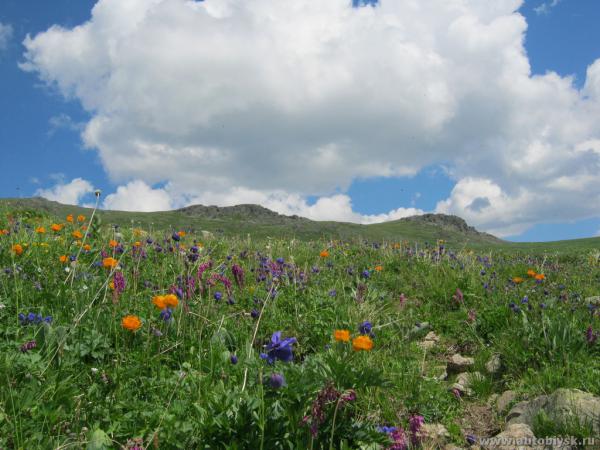 saygonosh-16-20-11_0000187.jpg