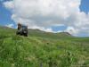 saygonosh-16-20-11_0000189_t1.jpg