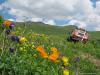 saygonosh-16-20-11_0000190_t1.jpg