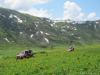 saygonosh-16-20-11_0000195_t1.jpg