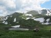 saygonosh-16-20-11_0000199_t1.jpg