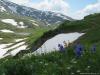 saygonosh-16-20-11_0000206_t1.jpg
