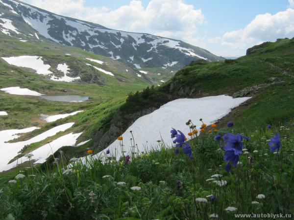 saygonosh-16-20-11_0000206.jpg