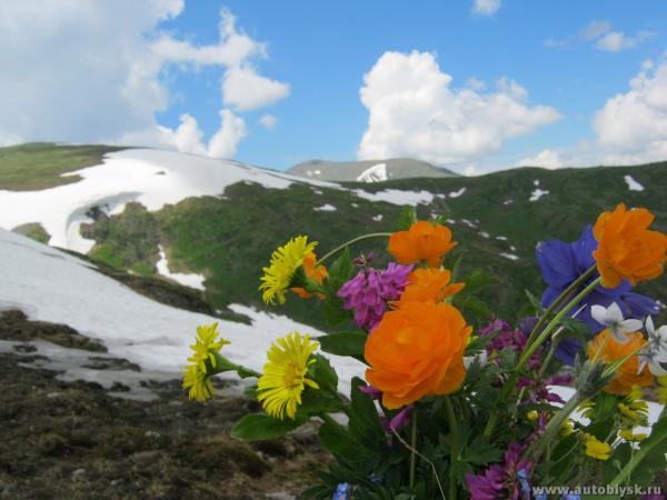 saygonosh-16-20-11_0000207.jpg
