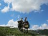 saygonosh-16-20-11_0000221_t1.jpg