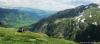 saygonosh-16-20-11_0000222_t1.jpg