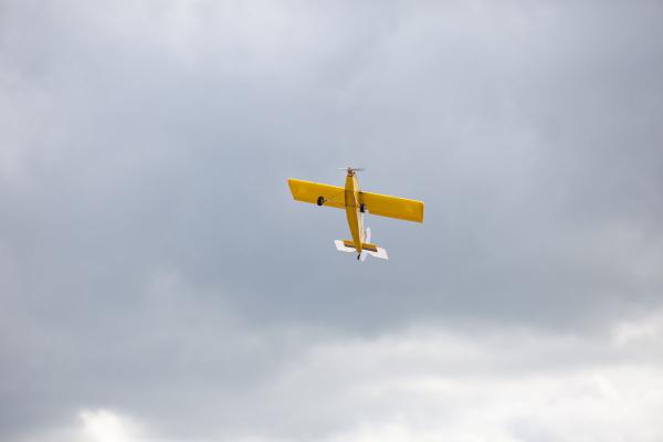 167.jpg