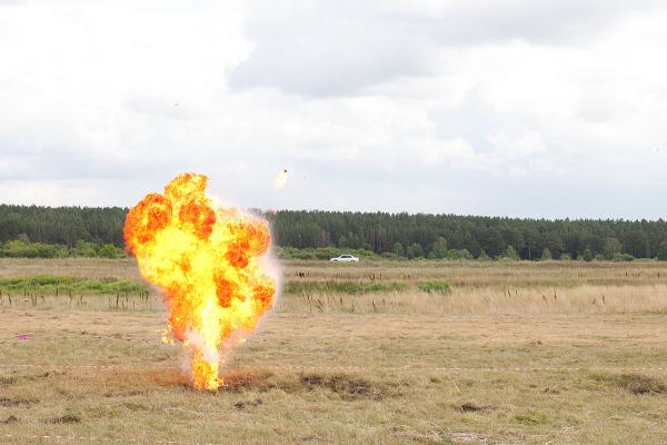 316.jpg