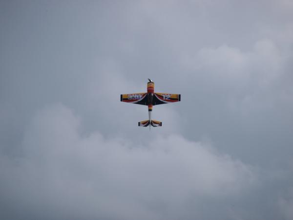 142.jpg