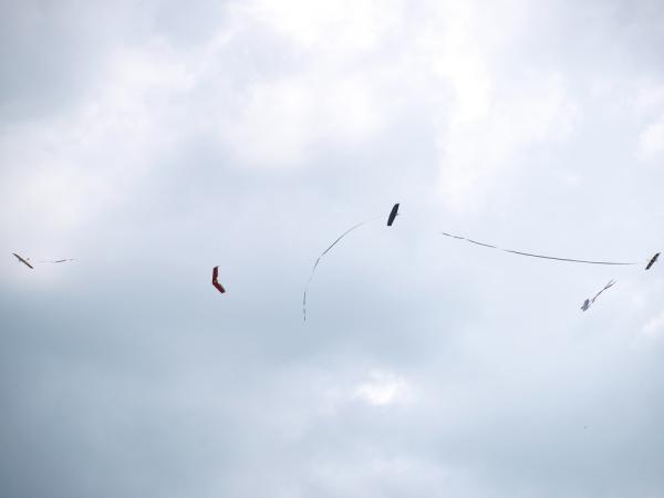 91.jpg