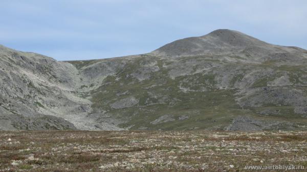 akkaia_0000001.jpg