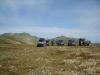 akkaia_0000004_t1.jpg