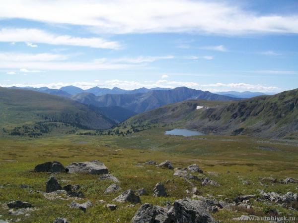 akkaia_0000011.jpg
