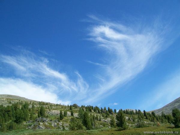 akkaia_0000023.jpg