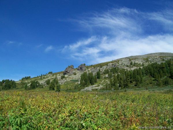 akkaia_0000024.jpg