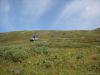 akkaia_0000031_t1.jpg