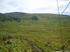 akkaia_0000033_t1.jpg