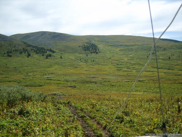 akkaia_0000033.jpg