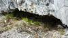cave_0000011_t1.jpg