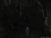 cave_0000018_t1.jpg