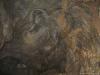 cave_0000032_t1.jpg