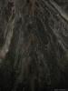 cave_0000036_t1.jpg