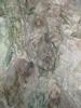 cave_0000037_t1.jpg