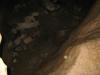 cave_0000051_t1.jpg