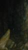 cave_0000066_t1.jpg