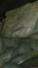 cave_0000070_t1.jpg
