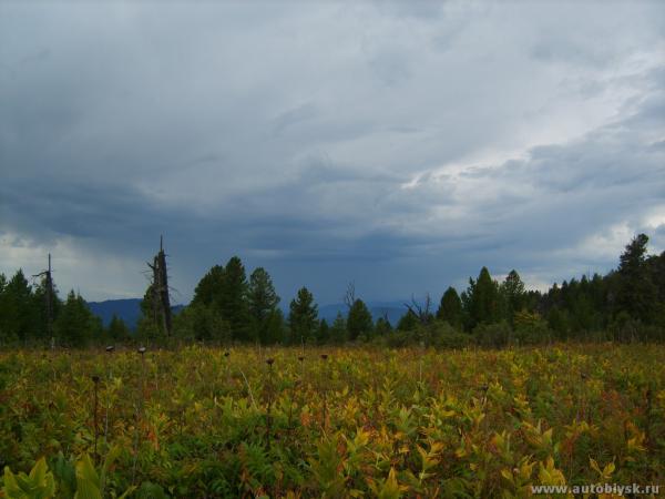 imurta-_0000118.jpg