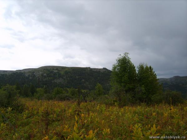 imurta-_0000119.jpg