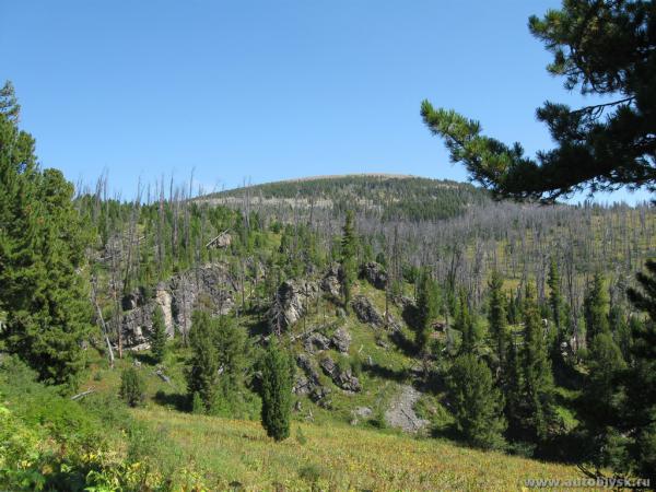 karagu-kuzia_0000007.jpg