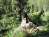 karagu-kuzia_0000015_t1.jpg
