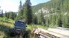 karagu-kuzia_0000017_t1.jpg