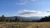 karagu-kuzia_0000023_t1.jpg