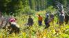 karagu-kuzia_0000028_t1.jpg